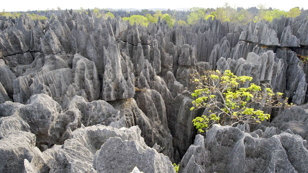 Madagascar, la meilleure destination pour passer les prochaines vacances